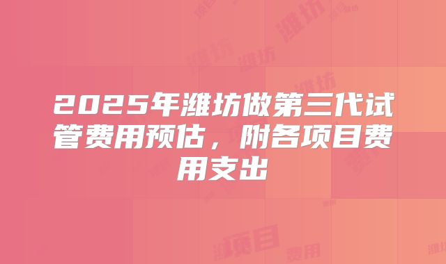 2025年潍坊做第三代试管费用预估，附各项目费用支出