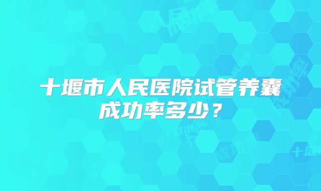 十堰市人民医院试管养囊成功率多少？