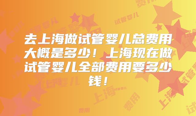 去上海做试管婴儿总费用大概是多少！上海现在做试管婴儿全部费用要多少钱！
