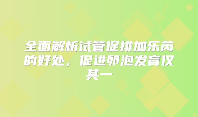 全面解析试管促排加乐芮的好处，促进卵泡发育仅其一