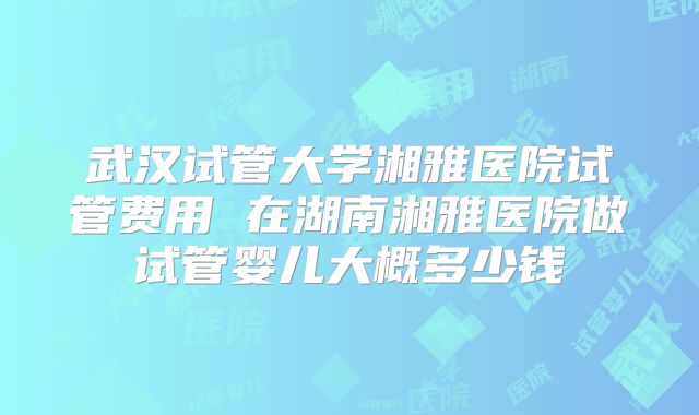 武汉试管大学湘雅医院试管费用 在湖南湘雅医院做试管婴儿大概多少钱