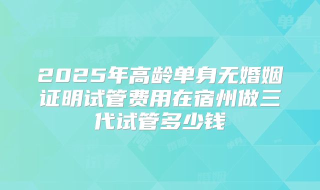 2025年高龄单身无婚姻证明试管费用在宿州做三代试管多少钱