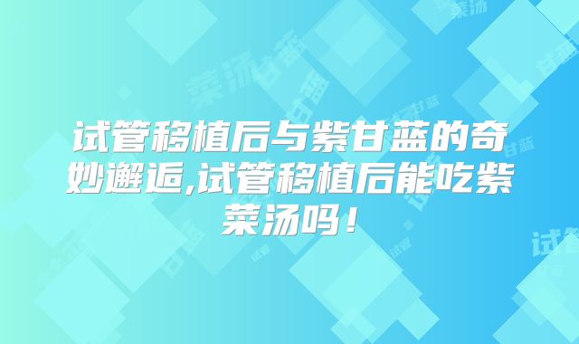 试管移植后与紫甘蓝的奇妙邂逅,试管移植后能吃紫菜汤吗！