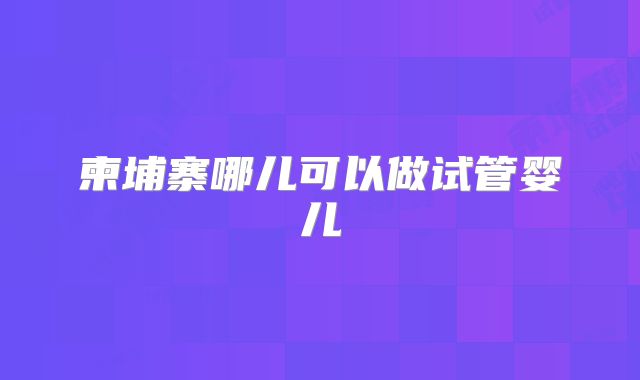 柬埔寨哪儿可以做试管婴儿