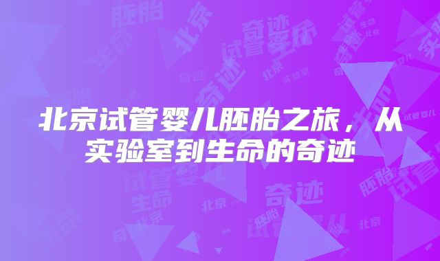 北京试管婴儿胚胎之旅，从实验室到生命的奇迹