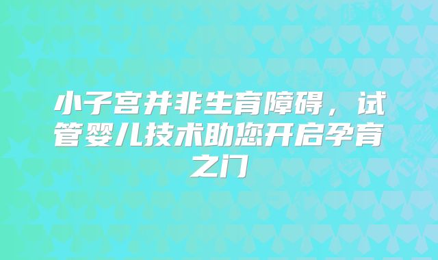 小子宫并非生育障碍，试管婴儿技术助您开启孕育之门
