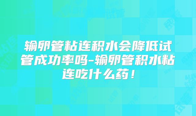 输卵管粘连积水会降低试管成功率吗-输卵管积水粘连吃什么药！