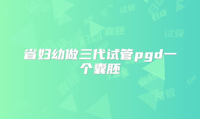 省妇幼做三代试管pgd一个囊胚