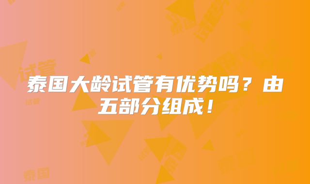 泰国大龄试管有优势吗？由五部分组成！