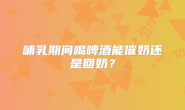哺乳期间喝啤酒能催奶还是回奶?