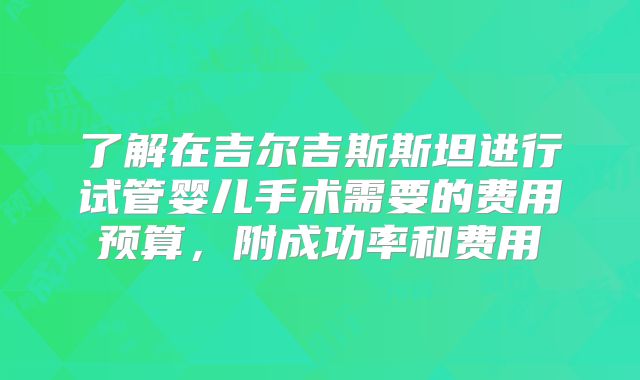 了解在吉尔吉斯斯坦进行试管婴儿手术需要的费用预算，附成功率和费用