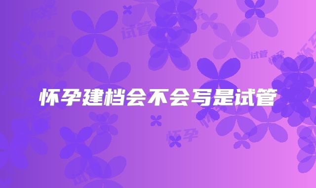 怀孕建档会不会写是试管