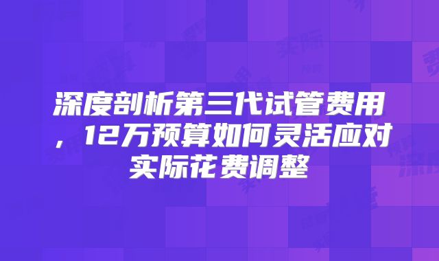 深度剖析第三代试管费用，12万预算如何灵活应对实际花费调整