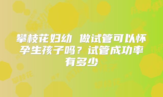 攀枝花妇幼 做试管可以怀孕生孩子吗?试管成功率有多少
