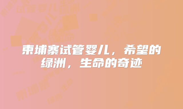 柬埔寨试管婴儿,希望的绿洲,生命的奇迹