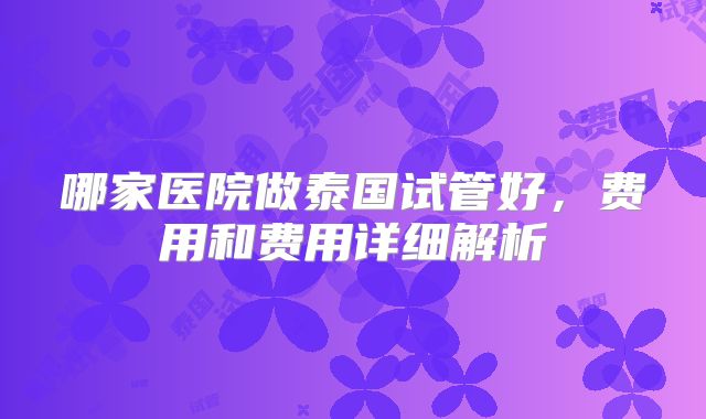 哪家医院做泰国试管好,费用和费用详细解析