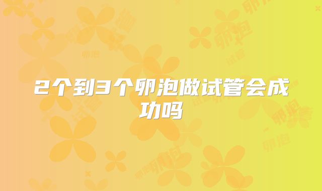 2个到3个卵泡做试管会成功吗