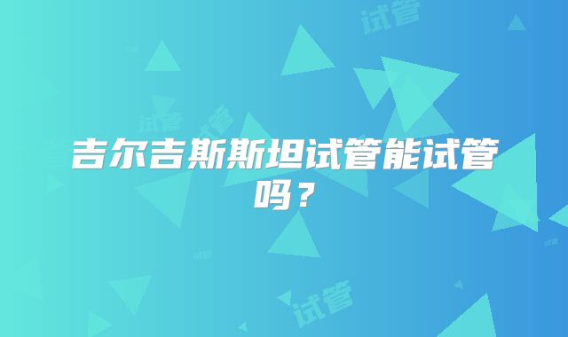 吉尔吉斯斯坦试管能试管吗？