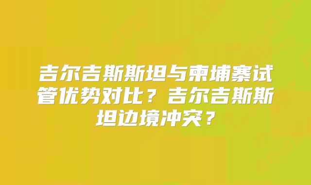 吉尔吉斯斯坦与柬埔寨试管优势对比？吉尔吉斯斯坦边境冲突？