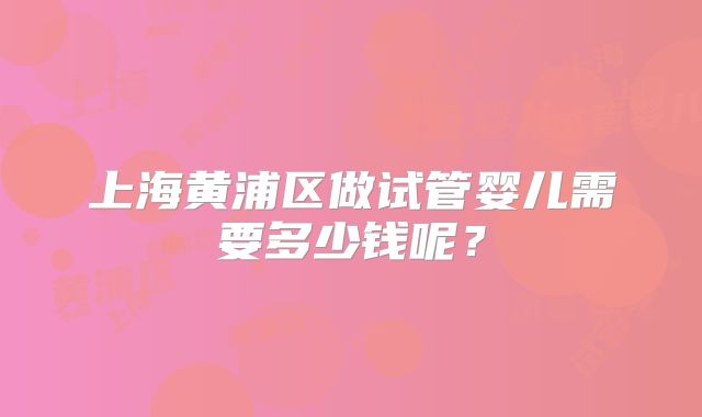 上海黄浦区做试管婴儿需要多少钱呢？