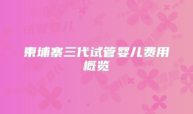 柬埔寨三代试管婴儿费用概览