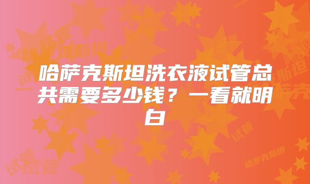 哈萨克斯坦洗衣液试管总共需要多少钱？一看就明白