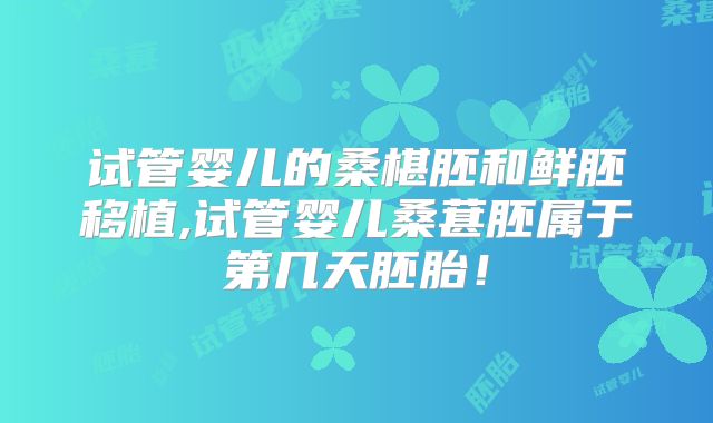 试管婴儿的桑椹胚和鲜胚移植,试管婴儿桑葚胚属于第几天胚胎！