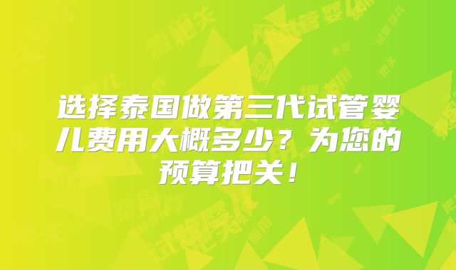 选择泰国做第三代试管婴儿费用大概多少？为您的预算把关！