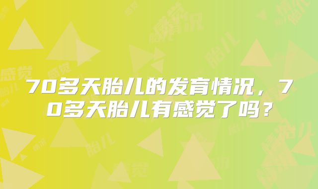 70多天胎儿的发育情况，70多天胎儿有感觉了吗？