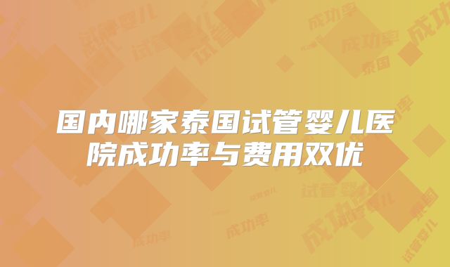 国内哪家泰国试管婴儿医院成功率与费用双优