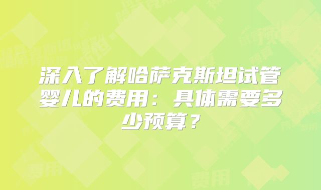 深入了解哈萨克斯坦试管婴儿的费用:具体需要多少预算?