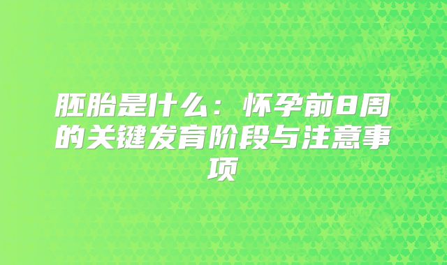 胚胎是什么：怀孕前8周的关键发育阶段与注意事项