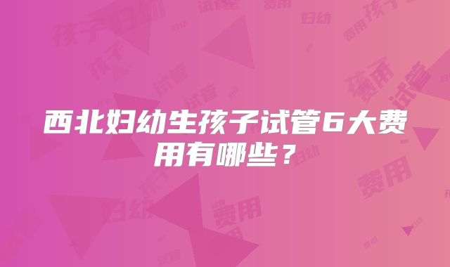 西北妇幼生孩子试管6大费用有哪些?