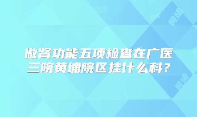做肾功能五项检查在广医三院黄埔院区挂什么科?