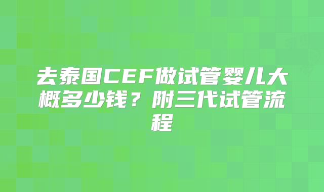 去泰国CEF做试管婴儿大概多少钱？附三代试管流程