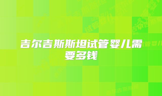 吉尔吉斯斯坦试管婴儿需要多钱