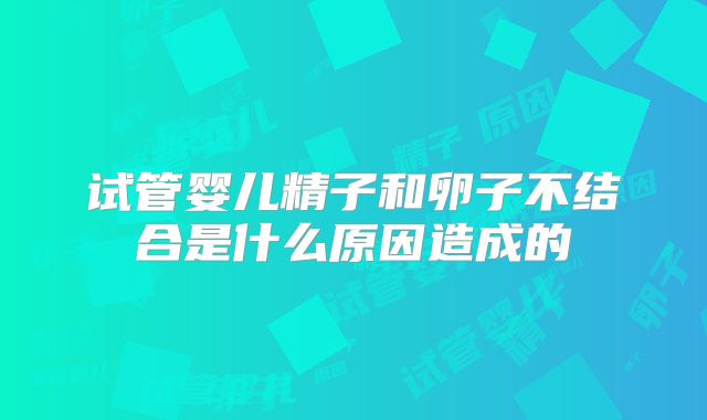 试管婴儿精子和卵子不结合是什么原因造成的