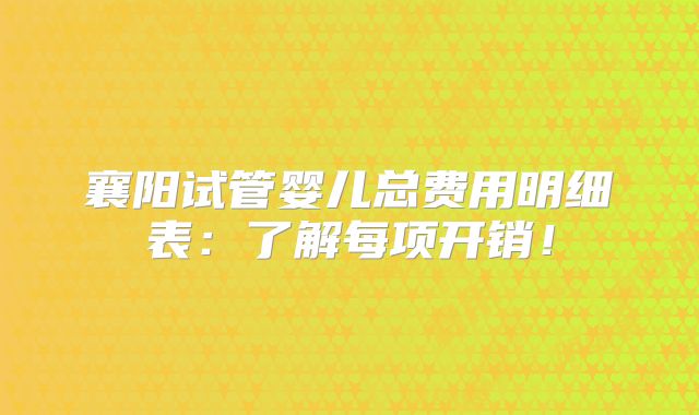 襄阳试管婴儿总费用明细表：了解每项开销！