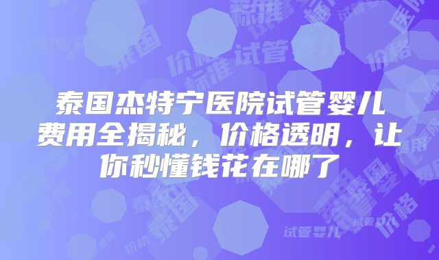 泰国杰特宁医院试管婴儿费用全揭秘，价格透明，让你秒懂钱花在哪了