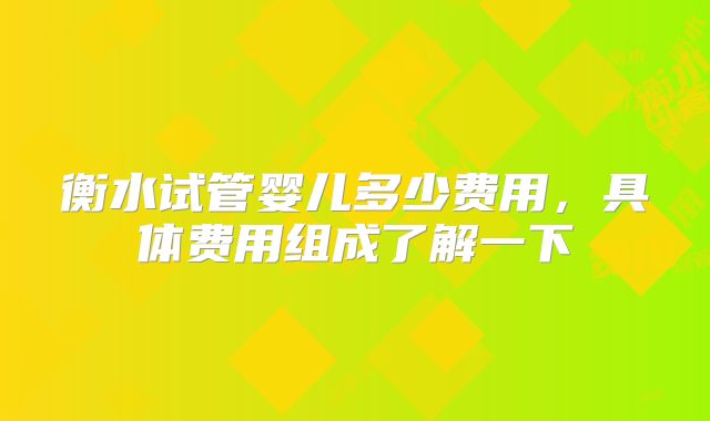 衡水试管婴儿多少费用，具体费用组成了解一下