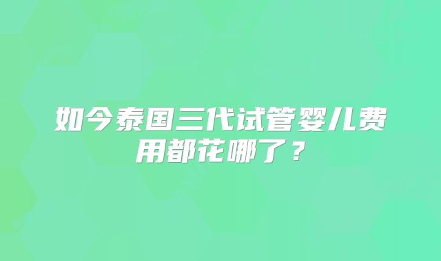如今泰国三代试管婴儿费用都花哪了？