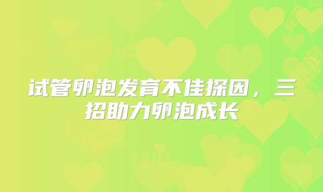 试管卵泡发育不佳探因,三招助力卵泡成长