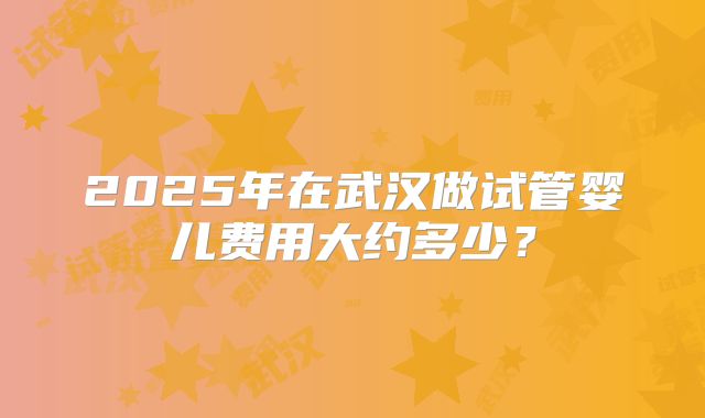 2025年在武汉做试管婴儿费用大约多少？