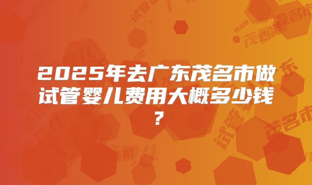 2025年去广东茂名市做试管婴儿费用大概多少钱？