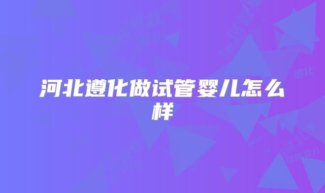 河北遵化做试管婴儿怎么样