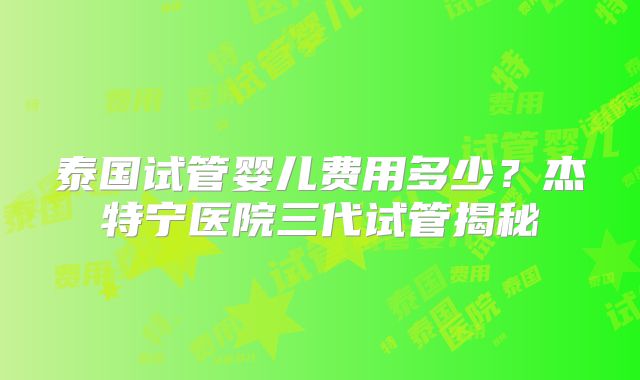 泰国试管婴儿费用多少？杰特宁医院三代试管揭秘