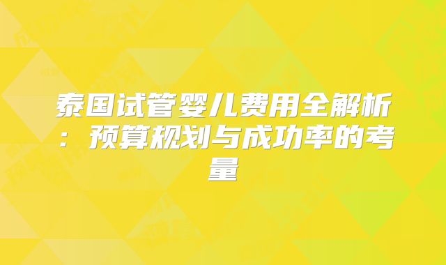 泰国试管婴儿费用全解析：预算规划与成功率的考量