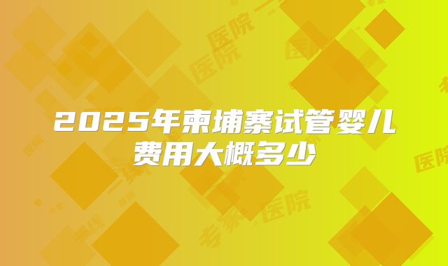 2025年柬埔寨试管婴儿费用大概多少