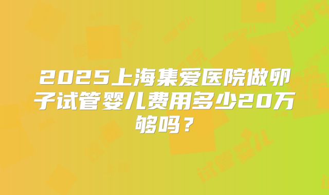 2025上海集爱医院做卵子试管婴儿费用多少20万够吗？