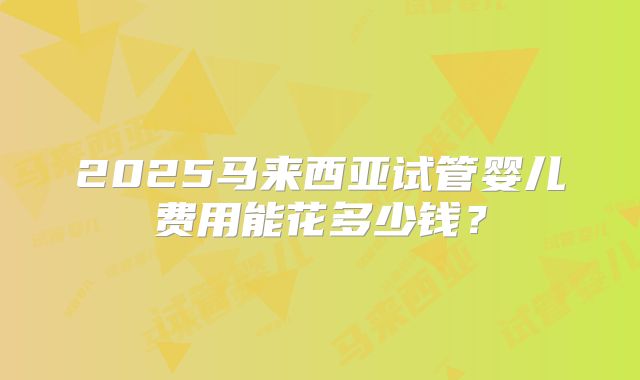2025马来西亚试管婴儿费用能花多少钱？